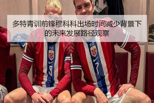 多特青训前锋穆科科出场时间减少背景下的未来发展路径观察